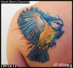 Татуировка птицы на плече