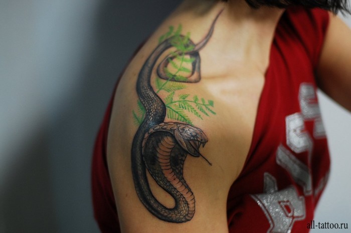 Шикарная кобра на плече