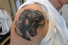 Тату «Рычащая пантера» на плече