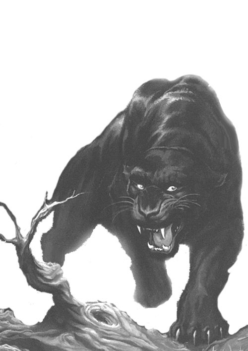 Черно-белый рисунок пантеры на дереве