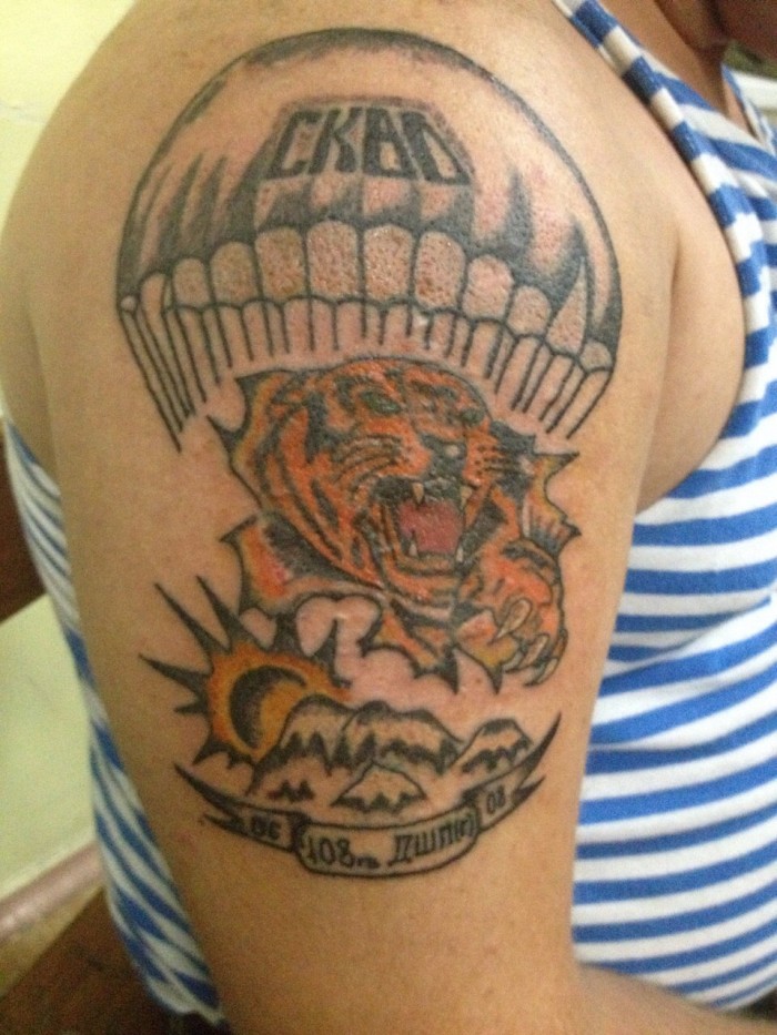 Татуировка на спине «Тигр, купол парашюта, солнце, горы»
