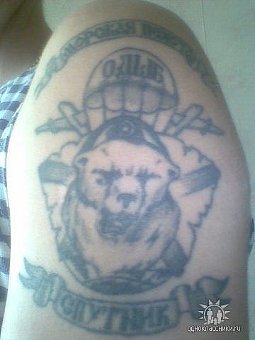 Татуировка на плече с изображением медведя и подписью «Морская пехота»
